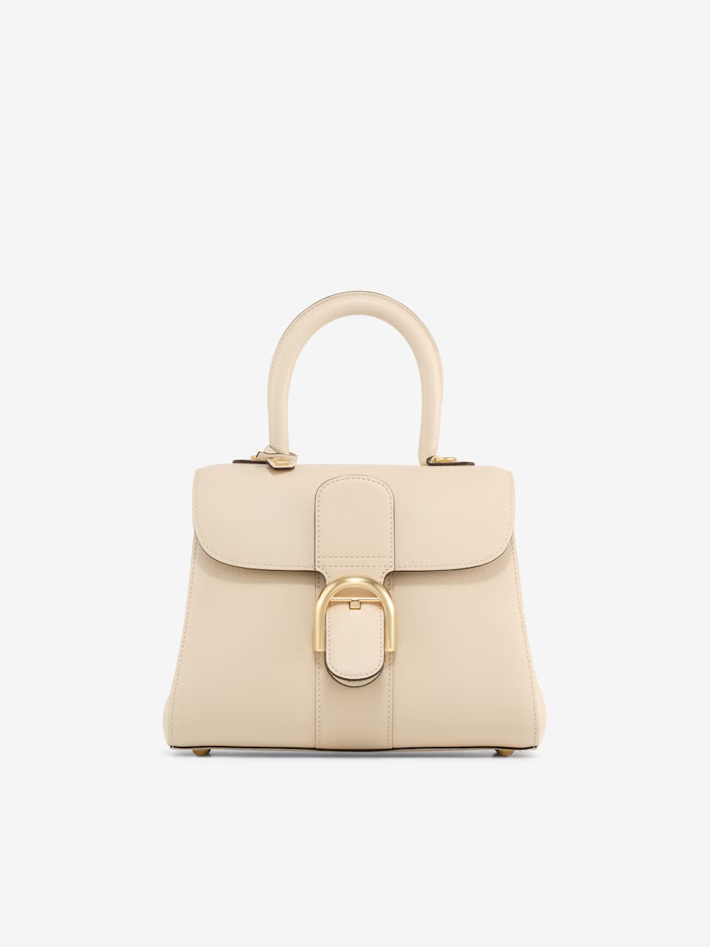 Brillant PM Rodéo Calf